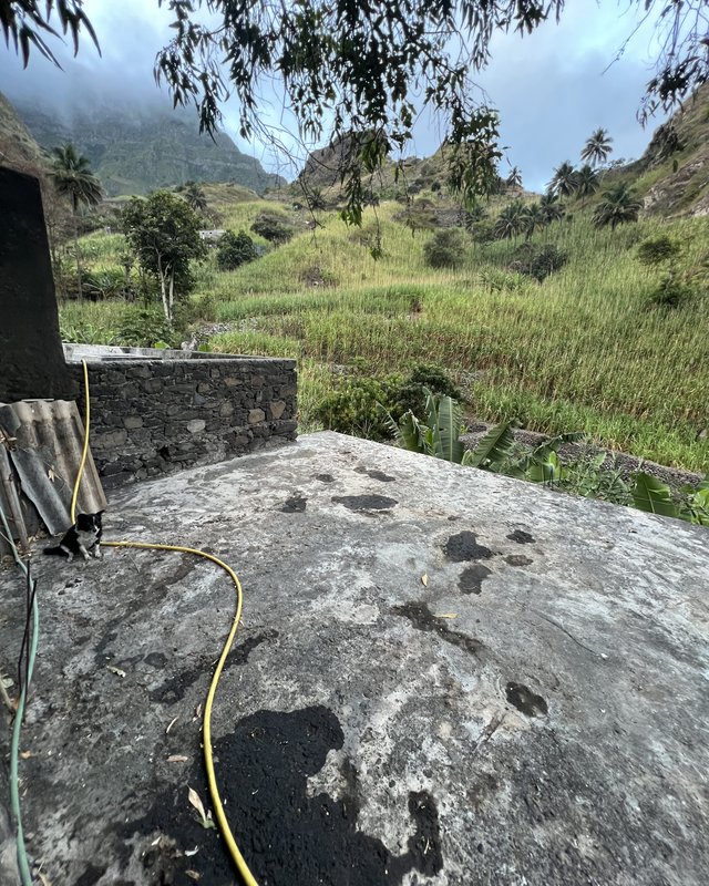 Sugarcane fields and mountains on the island of Santo Antão